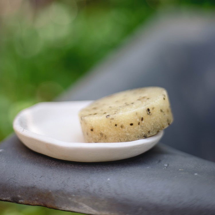 Vegan Fox kiwi seed body scrub round bar on white soap dish with blurred green background